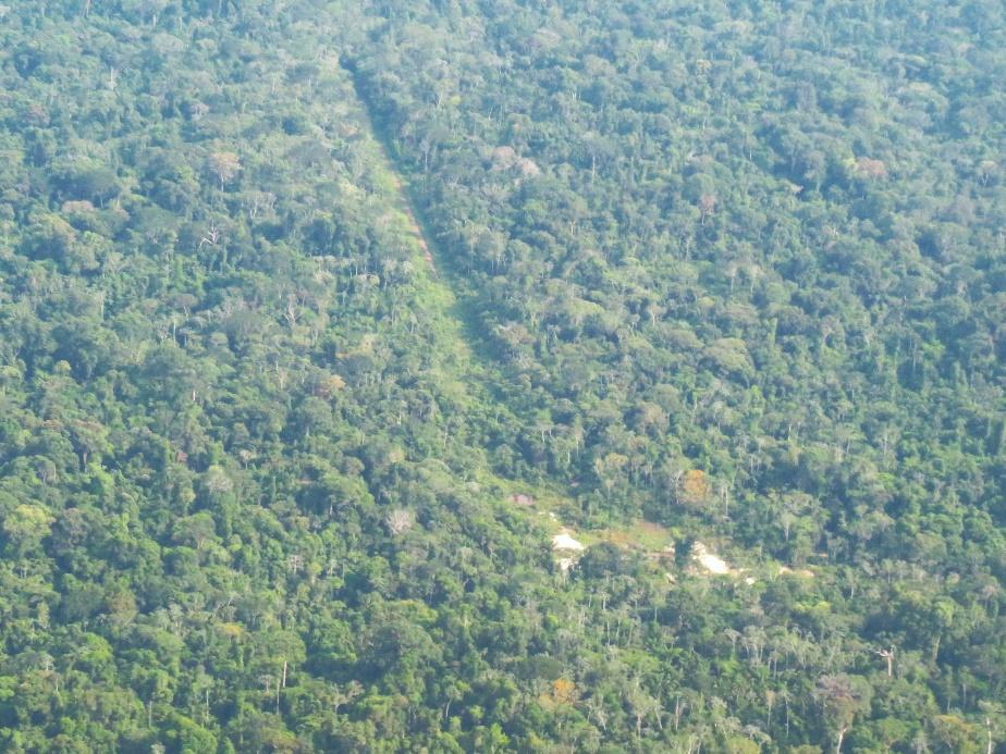 kayapo deforestation guard posts