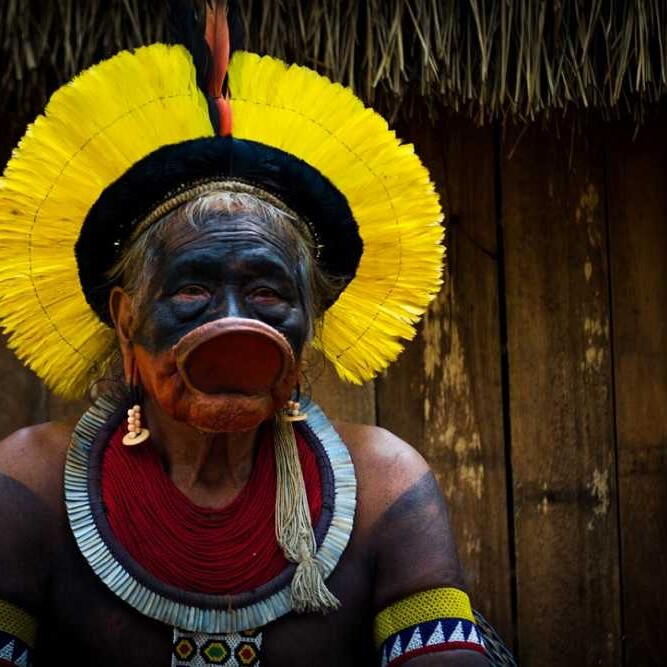 Raoni Metuktire headdress