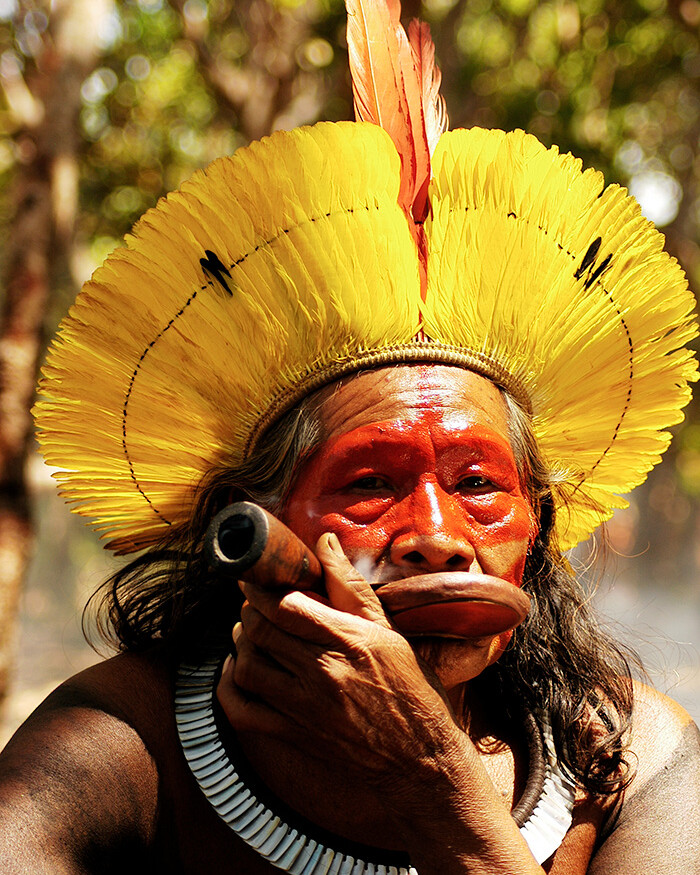 Chief Raoni Metuktire
