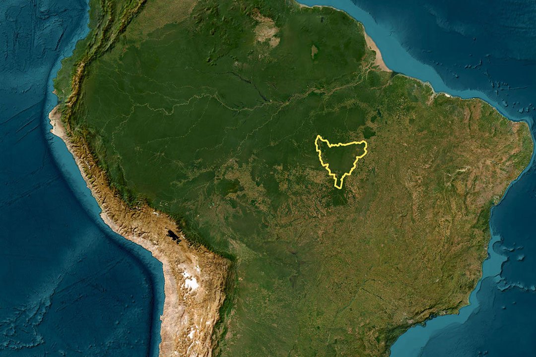 kayapo territory indigenous land demarcated map